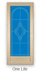 One lite storm door in Ottawa